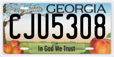 GA license plate CJU5308