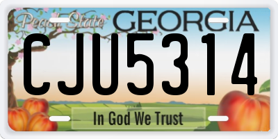 GA license plate CJU5314