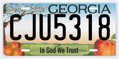 GA license plate CJU5318