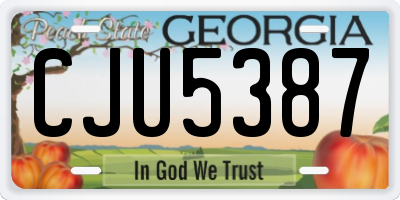 GA license plate CJU5387