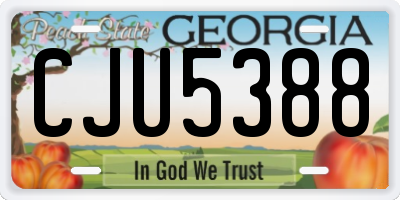 GA license plate CJU5388