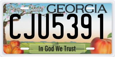 GA license plate CJU5391