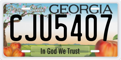 GA license plate CJU5407