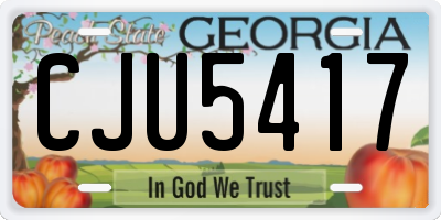 GA license plate CJU5417