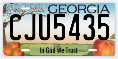 GA license plate CJU5435