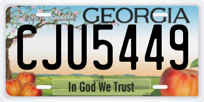 GA license plate CJU5449