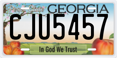 GA license plate CJU5457