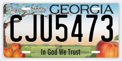GA license plate CJU5473