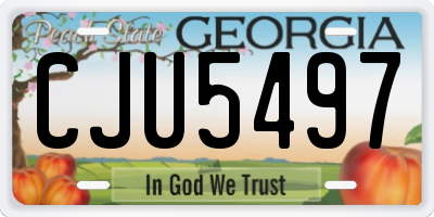 GA license plate CJU5497