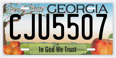 GA license plate CJU5507