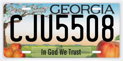 GA license plate CJU5508