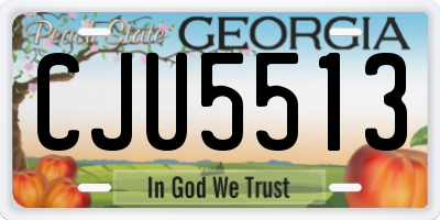 GA license plate CJU5513