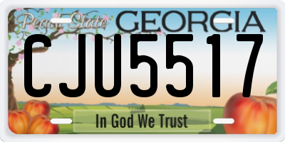 GA license plate CJU5517