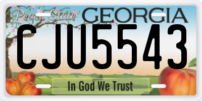 GA license plate CJU5543