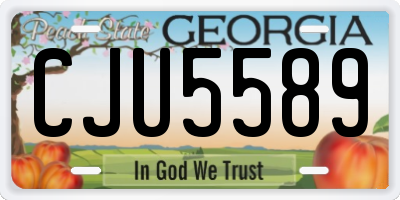 GA license plate CJU5589
