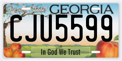 GA license plate CJU5599