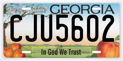 GA license plate CJU5602