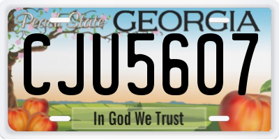 GA license plate CJU5607