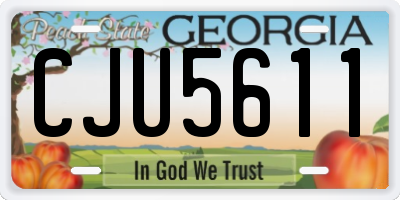 GA license plate CJU5611