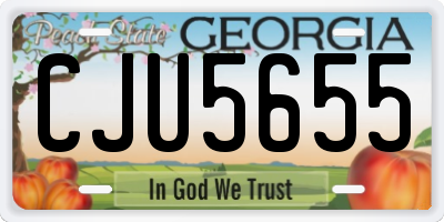GA license plate CJU5655