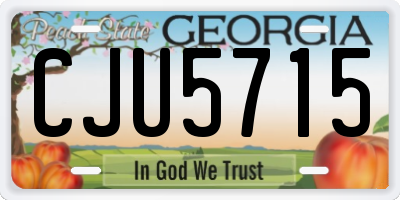 GA license plate CJU5715
