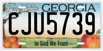 GA license plate CJU5739