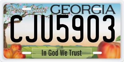 GA license plate CJU5903
