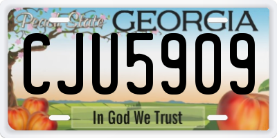 GA license plate CJU5909