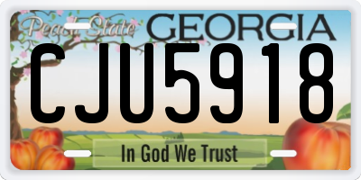GA license plate CJU5918