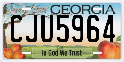 GA license plate CJU5964