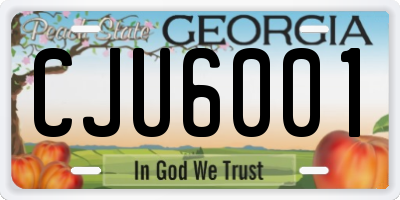 GA license plate CJU6001