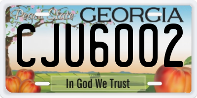 GA license plate CJU6002