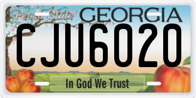 GA license plate CJU6020