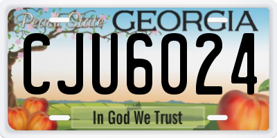 GA license plate CJU6024