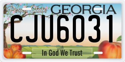 GA license plate CJU6031