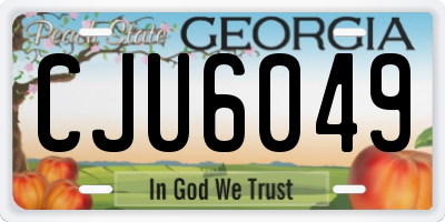 GA license plate CJU6049