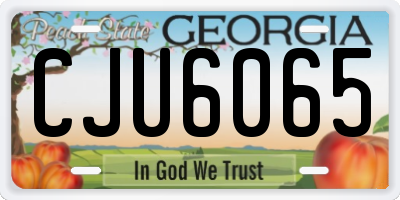 GA license plate CJU6065