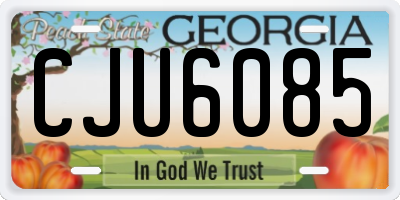 GA license plate CJU6085