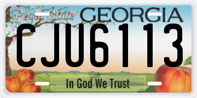GA license plate CJU6113