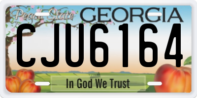 GA license plate CJU6164