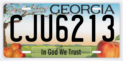 GA license plate CJU6213