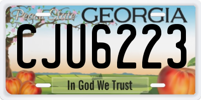 GA license plate CJU6223