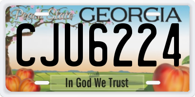 GA license plate CJU6224