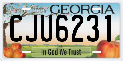GA license plate CJU6231