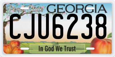 GA license plate CJU6238