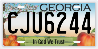GA license plate CJU6244