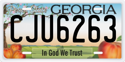 GA license plate CJU6263