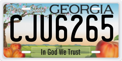 GA license plate CJU6265