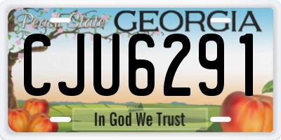 GA license plate CJU6291