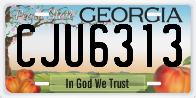 GA license plate CJU6313